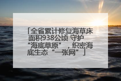 全省累计修复海草床面积938公顷 守护“海底草原”，织密海底生态“一张网”