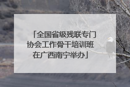 全国省级残联专门协会工作骨干培训班在广西南宁举办