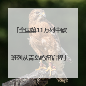 全国第11万列中欧班列从青岛鸣笛启程