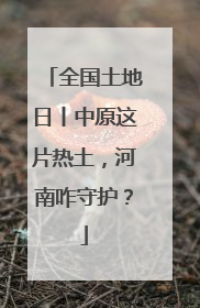 全国土地日丨中原这片热土，河南咋守护？