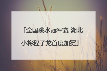 全国跳水冠军赛 湖北小将程子龙首度加冕