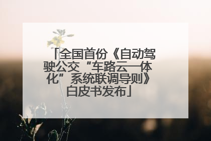 全国首份《自动驾驶公交“车路云一体化”系统联调导则》白皮书发布