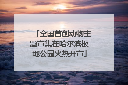 全国首创动物主题市集在哈尔滨极地公园火热开市