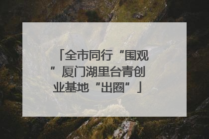 全市同行“围观”厦门湖里台青创业基地“出圈”