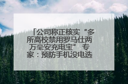 公司称正核实“多所高校禁用罗马仕两万毫安充电宝” 专家：预防手机没电选中等体积产品即可