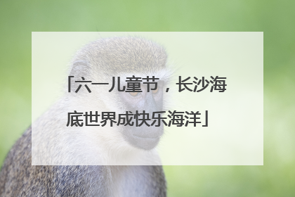 六一儿童节，长沙海底世界成快乐海洋