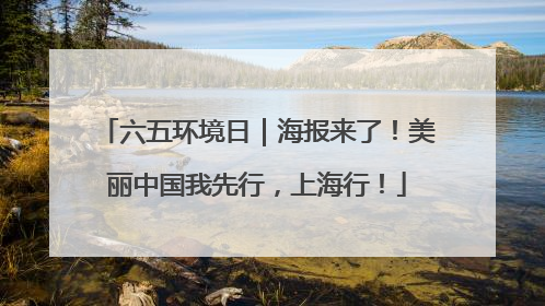六五环境日｜海报来了！美丽中国我先行，上海行！