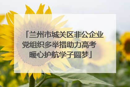 兰州市城关区非公企业党组织多举措助力高考 暖心护航学子圆梦