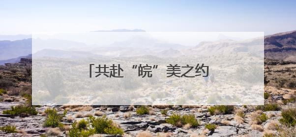 共赴“皖”美之约 安徽开展“青年学子安徽行”活动
