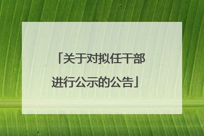 关于对拟任干部进行公示的公告