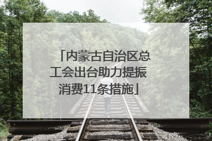 内蒙古自治区总工会出台助力提振消费11条措施