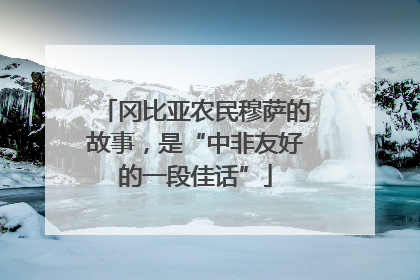 冈比亚农民穆萨的故事，是“中非友好的一段佳话”