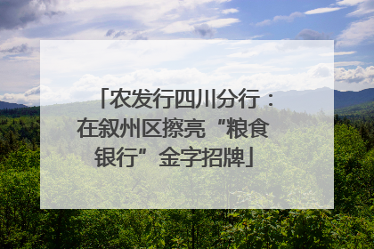 农发行四川分行：在叙州区擦亮“粮食银行”金字招牌