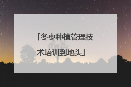 冬枣种植管理技术培训到地头