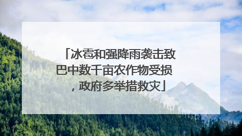 冰雹和强降雨袭击致巴中数千亩农作物受损，政府多举措救灾