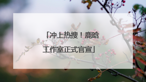 冲上热搜！鹿晗工作室正式官宣