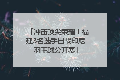 冲击顶尖荣耀！福建3名选手出战印尼羽毛球公开赛