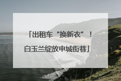 出租车“换新衣”！白玉兰绽放申城街巷