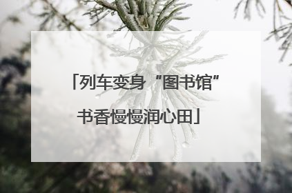 列车变身“图书馆” 书香慢慢润心田