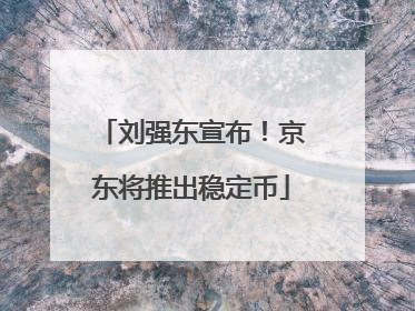 刘强东宣布！京东将推出稳定币