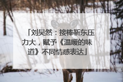 刘昊然：接棒靳东压力大，赋予《温暖的味道》不同情感表达