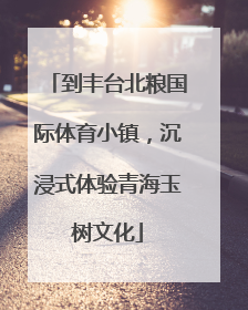 到丰台北粮国际体育小镇，沉浸式体验青海玉树文化