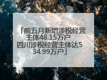 前五月新增涉税经营主体48.15万户 四川涉税经营主体达534.99万户