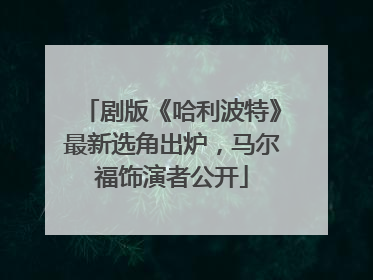 剧版《哈利波特》最新选角出炉，马尔福饰演者公开
