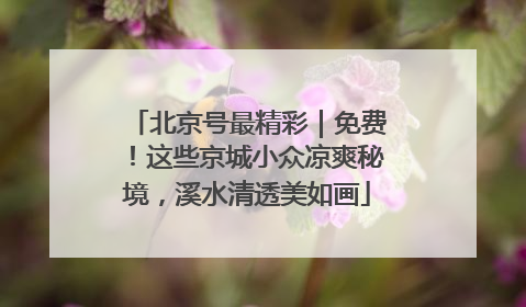 北京号最精彩｜免费！这些京城小众凉爽秘境，溪水清透美如画