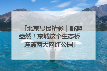 北京号最精彩｜野趣盎然！京城这个生态桥连通两大网红公园