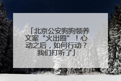北京公安狗狗领养文案“火出圈”！心动之后，如何行动？我们打听了