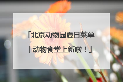 北京动物园夏日菜单丨动物食堂上新啦！