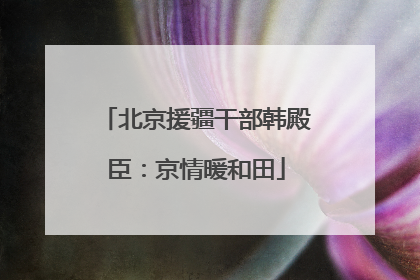 北京援疆干部韩殿臣：京情暖和田