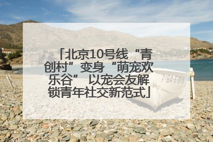 北京10号线“青创村”变身“萌宠欢乐谷” 以宠会友解锁青年社交新范式