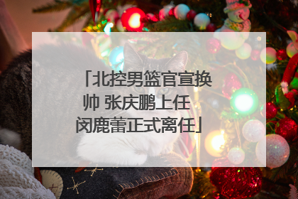 北控男篮官宣换帅 张庆鹏上任 闵鹿蕾正式离任