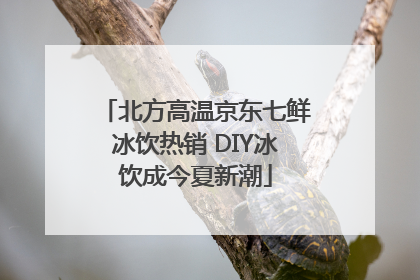 北方高温京东七鲜冰饮热销 DIY冰饮成今夏新潮