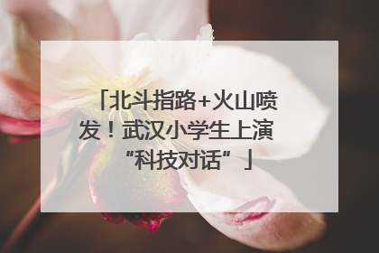 北斗指路+火山喷发！武汉小学生上演“科技对话”