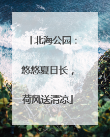 北海公园：悠悠夏日长，荷风送清凉