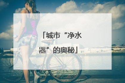 城市“净水器”的奥秘