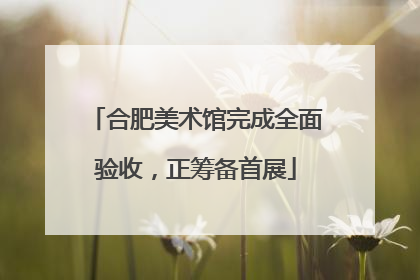 合肥美术馆完成全面验收，正筹备首展