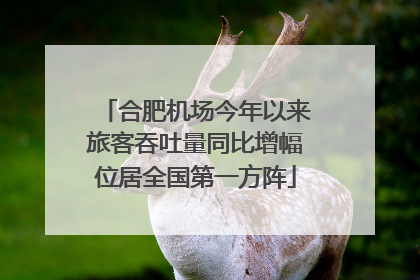 合肥机场今年以来旅客吞吐量同比增幅位居全国第一方阵