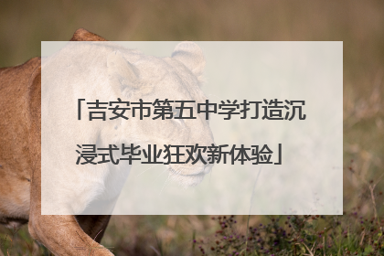 吉安市第五中学打造沉浸式毕业狂欢新体验