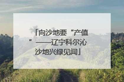 向沙地要“产值”——辽宁科尔沁沙地兴绿见闻