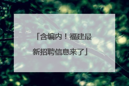 含编内！福建最新招聘信息来了