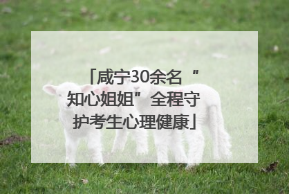 咸宁30余名“知心姐姐”全程守护考生心理健康
