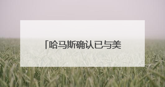 哈马斯确认已与美特使就加沙停火总体框架达成协议