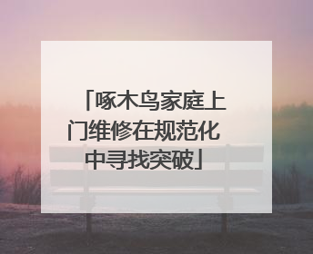 啄木鸟家庭上门维修在规范化中寻找突破