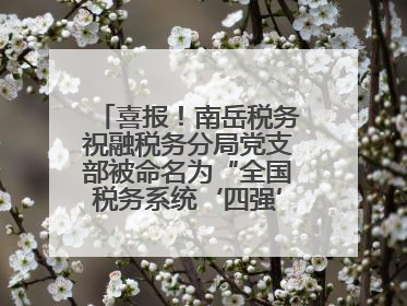 喜报！南岳税务祝融税务分局党支部被命名为“全国税务系统‘四强’党支部”