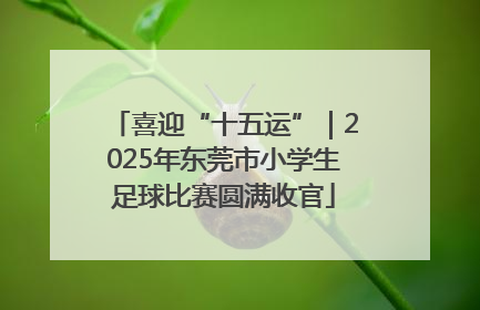 喜迎“十五运”｜2025年东莞市小学生足球比赛圆满收官