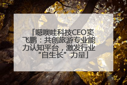嗯噢哇科技CEO窦飞鹏：共创旅游专业能力认知平台，激发行业“自生长”力量